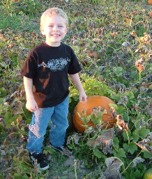 pumpkin patch